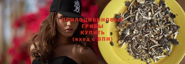 мет Ладушкин