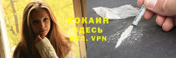 мет Ладушкин