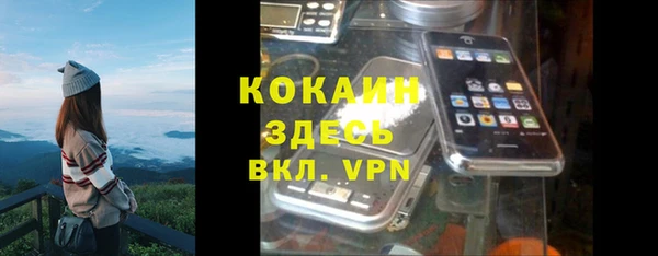мет Ладушкин