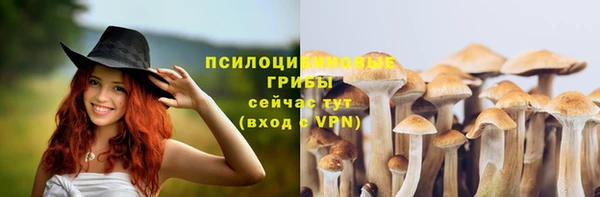 a pvp Лагань