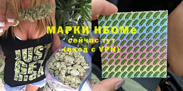 мет Ладушкин