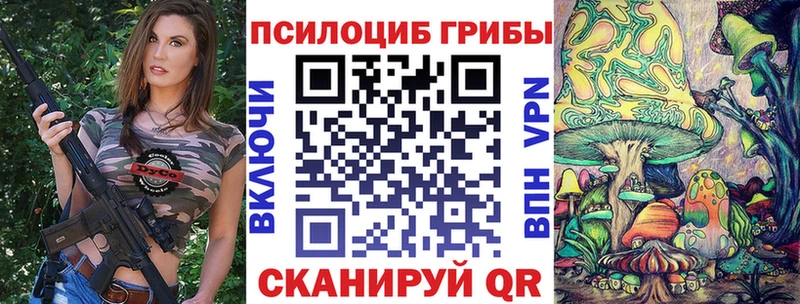 kraken ТОР  Александровское  Галлюциногенные грибы Psilocybe 