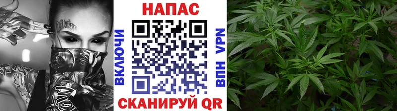 МАРИХУАНА индика Александровское